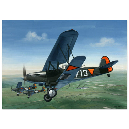 Thijs Postma - Poster - Fokker C.X Valkenburg Poster Only TP Aviation Art 50x70 cm / 20x28″ 