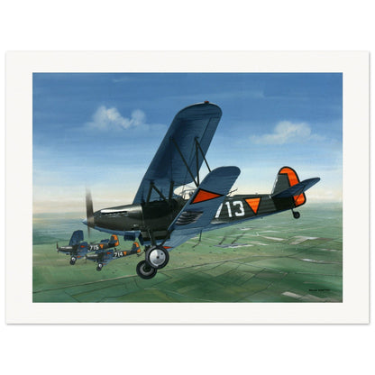 Thijs Postma - Poster - Fokker C.X Valkenburg Poster Only TP Aviation Art 60x80 cm / 24x32″ 