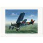 Thijs Postma - Poster - Fokker C.X Valkenburg Poster Only TP Aviation Art 70x100 cm / 28x40″ 