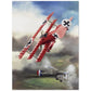 Thijs Postma - Poster - Fokker Dr.I Shooting Down A DeHavilland DH.2 In 1916 Poster Only TP Aviation Art 45x60 cm / 18x24″ 