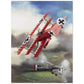 Thijs Postma - Poster - Fokker Dr.I Shooting Down A DeHavilland DH.2 In 1916 Poster Only TP Aviation Art 75x100 cm / 30x40″ 