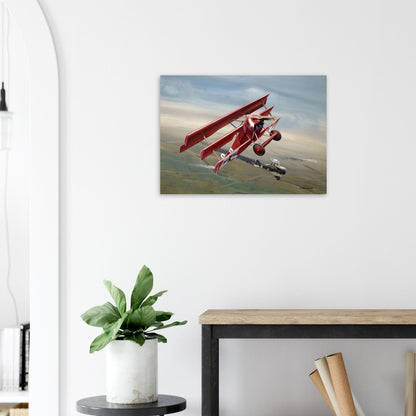 Thijs Postma - Poster - Fokker Dr.I With RAF S.E.5 Poster Only TP Aviation Art 