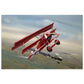 Thijs Postma - Poster - Fokker Dr.I With RAF S.E.5 Poster Only TP Aviation Art 40x60 cm / 16x24″ 