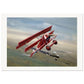 Thijs Postma - Poster - Fokker Dr.I With RAF S.E.5 Poster Only TP Aviation Art 70x100 cm / 28x40″ 