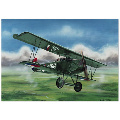 Thijs Postma - Poster - Fokker D.VII Over The Dutch Landscape Poster Only TP Aviation Art 