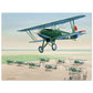 Thijs Postma - Poster - Fokker D.XVII Lined Up Poster Only TP Aviation Art 45x60 cm / 18x24″ 