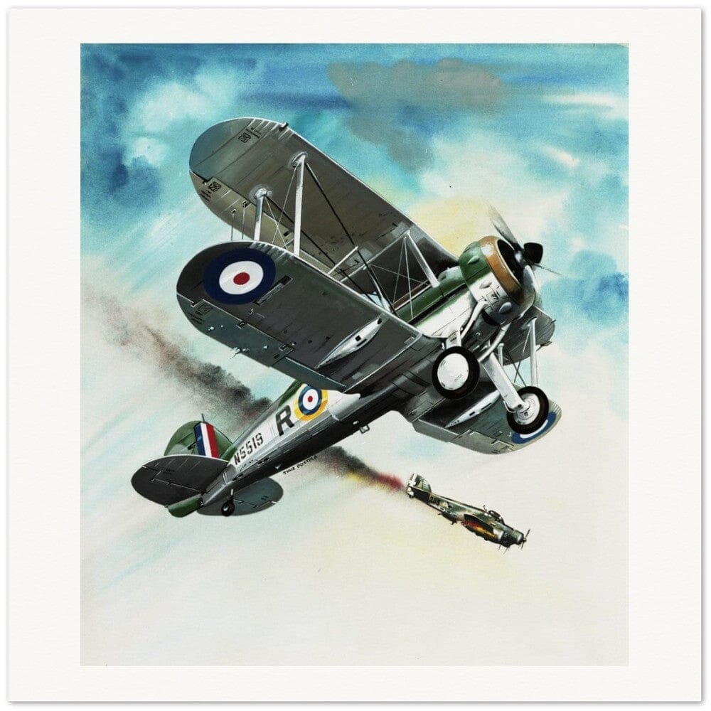 Thijs Postma - Poster - Gloster Gladiator Over Malta Shooting Down An Italian Plane Poster Only TP Aviation Art 