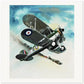 Thijs Postma - Poster - Gloster Gladiator Over Malta Shooting Down An Italian Plane Poster Only TP Aviation Art 70x70 cm / 28x28″ 