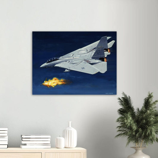 Thijs Postma - Poster - Grumman F-14 Tomcat Shooting Down A MiG-23 Poster Only TP Aviation Art 