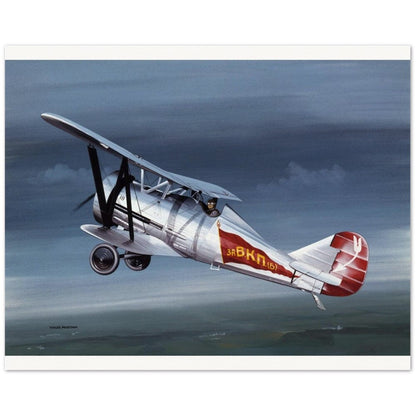 Thijs Postma - Poster - Polikarpov I-5 In The Sky Poster Only TP Aviation Art 40x50 cm / 16x20″ 