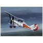 Thijs Postma - Poster - Polikarpov I-5 In The Sky Poster Only TP Aviation Art 70x100 cm / 28x40″ 