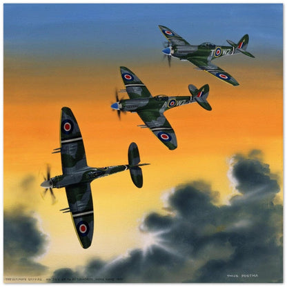 Thijs Postma - Poster - Supermarine Spitfire Mk.24 In HongKong Poster Only TP Aviation Art 50x50 cm / 20x20″ 